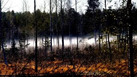 Höstdimma i Kallax