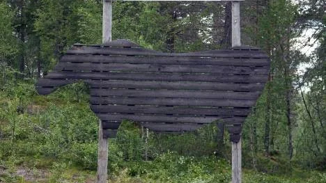 Jutisälgen i byns västra infart har tappat sitt horn under fel årstid. Byborna misstänker att det är fråga om stöld.