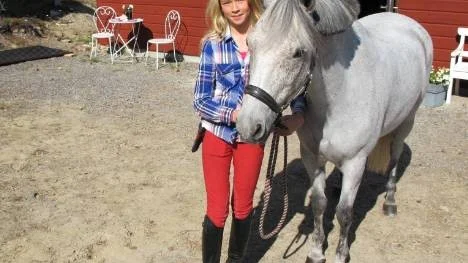 Cornelia Johansson, Piteå Ridklubb, och ponnyn Miclas Claudia Schiffer kraschade in i ett hinder och gjorde sig illa. Därmed blev det inget SM i ponnyhoppning för ekipaget. (Arkivbild)