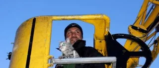 Katten Katja fick lift ner från granen