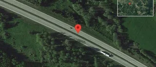 Älg på vägen på E20