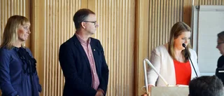 Sågar budgeten: "För mycket chansningar"