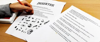 Länets elever missar hjälp med läxan