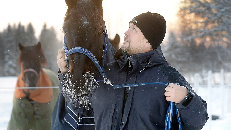 I sitt livs form. Sambucus P.R sprang in en segercheck på 100 000 kronor i lördags. V75-segern var också den största någonsin för tränaren Janne Hällgren. Foto: Ulf Johansson.