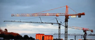 Stororder leder till nya jobb i Norsjö