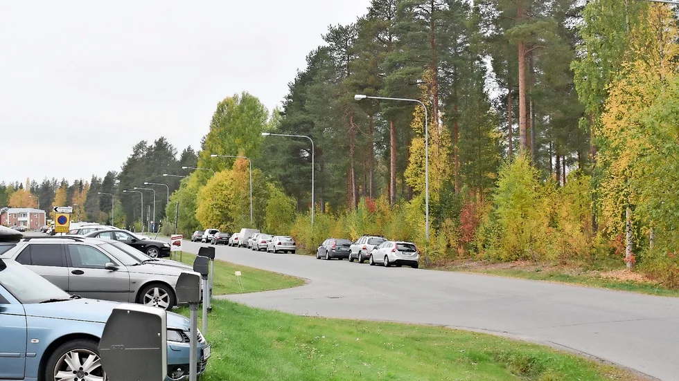 Här ska det planeras för nya hyreshus, i skogen som vetter ner mot stan. Foto: Yvonne Rönngren.