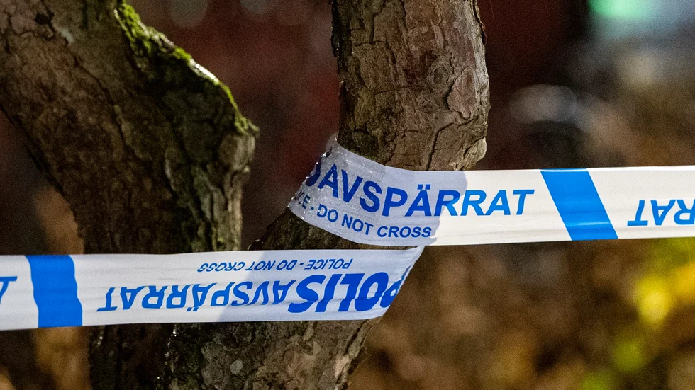 Den man som sköt en hund och skadade en kvinna avlossade vapnet från ett fönster till sin bostad. Arkivbild.