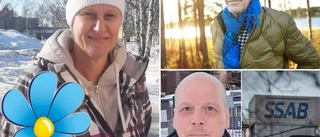"Klimatförnekare" blir SD:s nya toppnamn: "Klokt med kärnkraft i Luleå" 