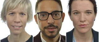 Sverige klarar sig inte utan utländsk kompetens
