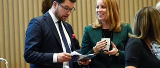 När Åkesson blev den vuxne