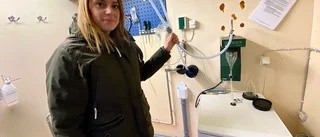 Här tas virusproverna i avloppsvattnet