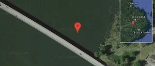 Rådjur på vägen på E18