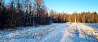 Läsarbilden: Solsken och skuggor i Hortlax