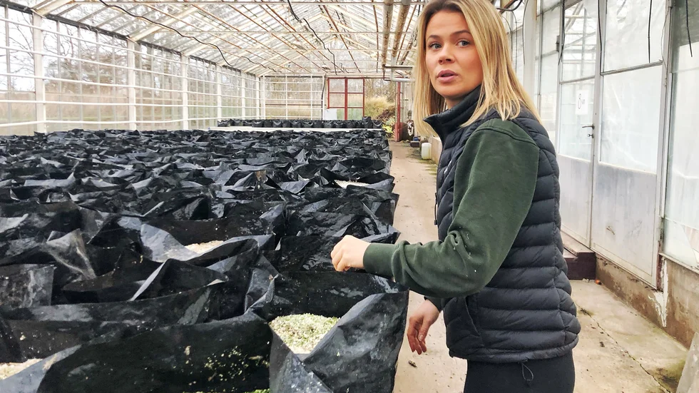 Zandras engagemang kommer från hennes pappa "Han är bara glad över att få gå upp på morgonen och äta sin fil och flingor och gå ut i växthusen. Det gör det här valet väldigt lätt för mig. Så vill jag också leva" säger hon.