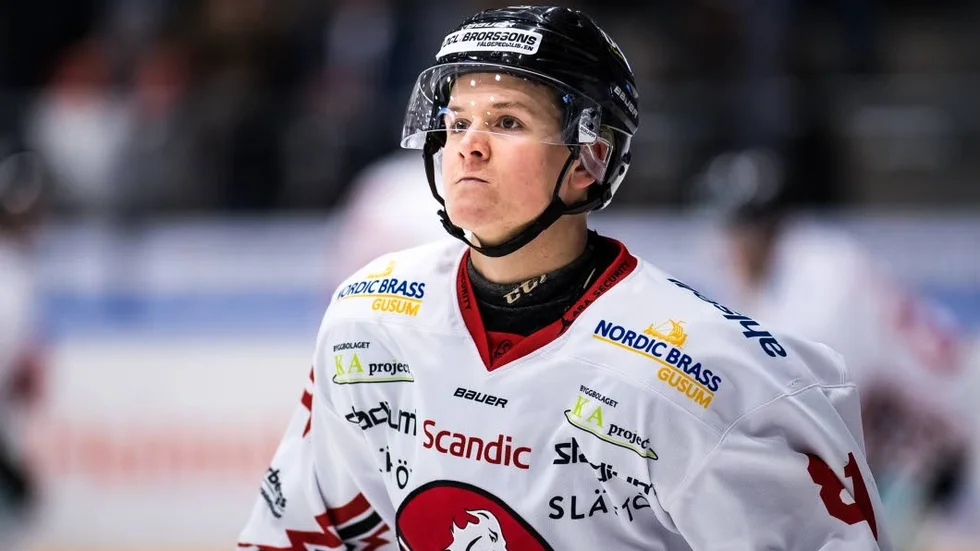 Erik Borg har skrivit på ett nytt ettårskontrakt med Vita Hästen.