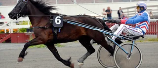 Skelleftesegrar i Boden