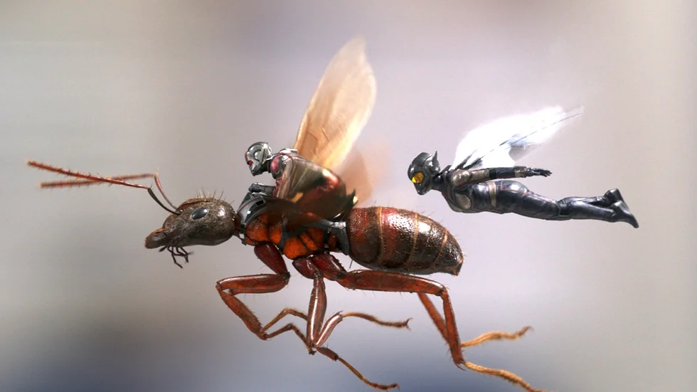 Ant-Man och the Wasp på skurkjakt.