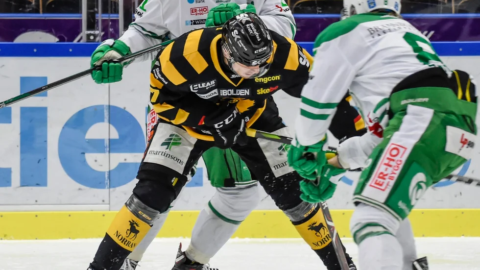 Almtuna har varit i kontakt med förre Skellefteå AIK-spelaren Daniel Widing, här i Rögle-tröjan.

