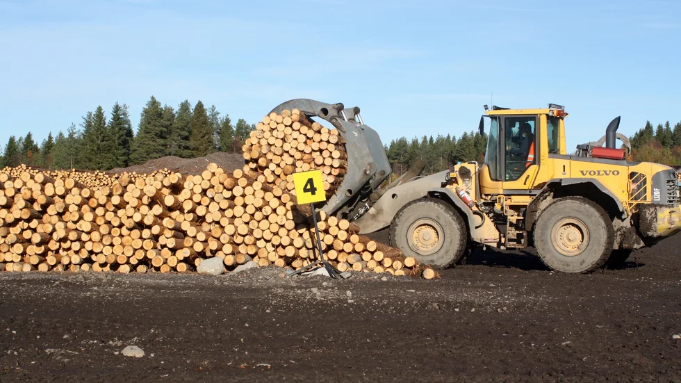 På Glommers Timber har personalstyrkan växt efter Kalixbranden. 