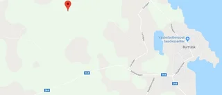 Personbil krockade med träd