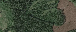 Nya ägare till villa i Blåsmark - 4 200 000 kronor blev priset