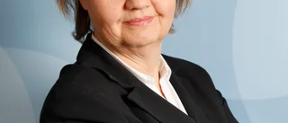 Ukraina skulle kunna vara Sverige
