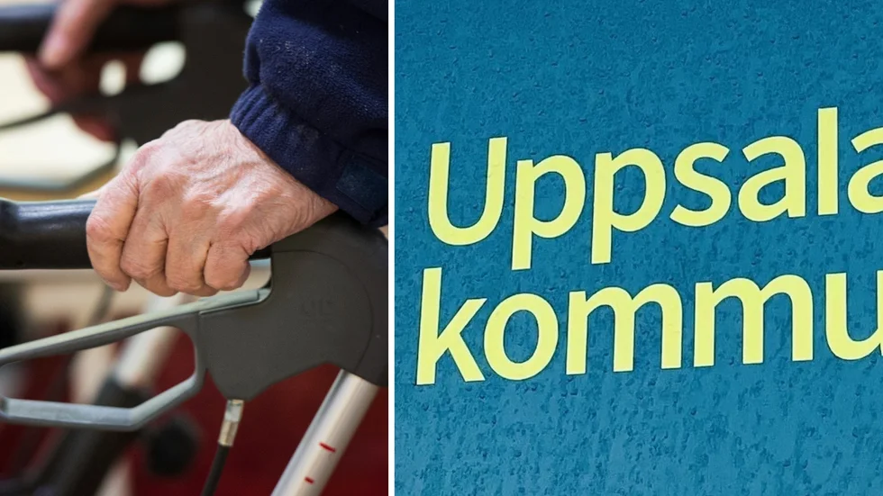 Förvaltningsrätten skriver att 86-åringen har befogade oroskänslor och att hennes hjälpbehov kommer att öka. Hon beviljas därför plats på äldreboende.