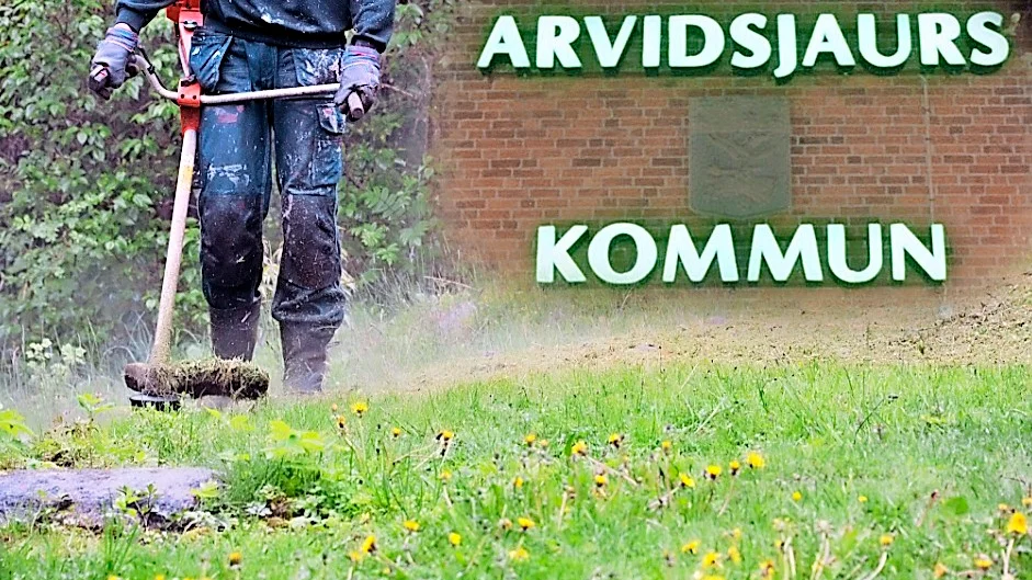 Foto: Bildmontage. Foto: TT.