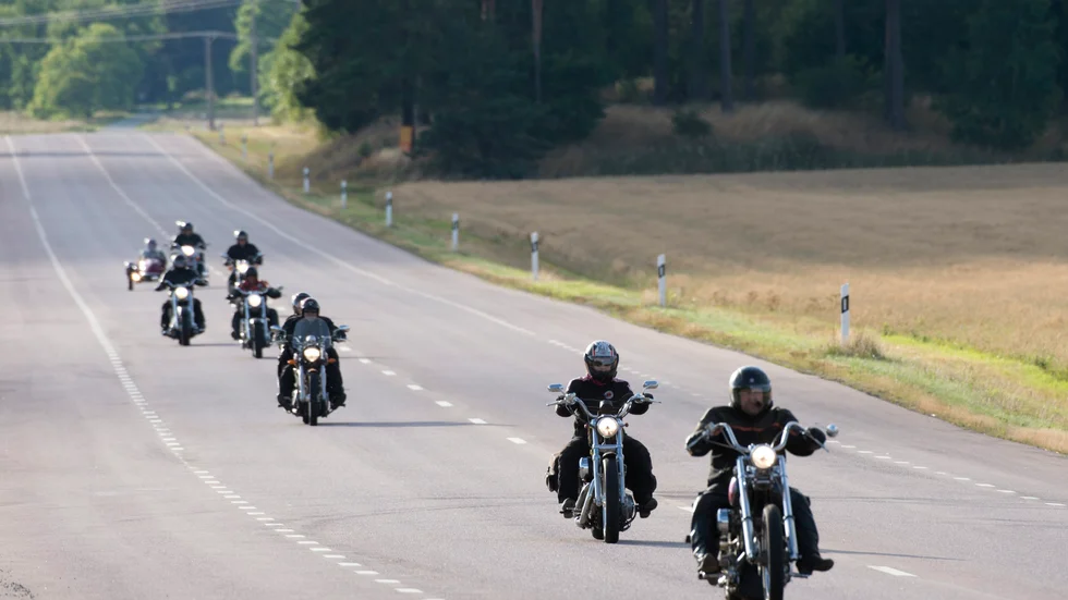 Foto: FREDRIK SANDBERG / TT.