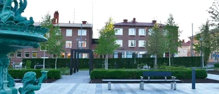 Grov misshandel i Stadsparken – fick sparkar mot huvudet