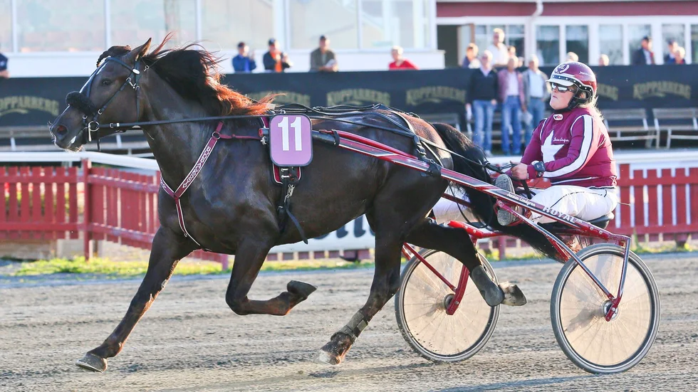 Jessica Lindgrens Bodbäckssiv startar i Derbystoets final i Östersund ikväll. Foto: Ola Westerberg