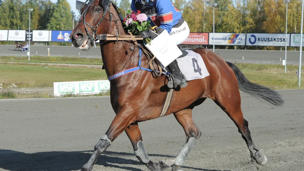 Gold Digger och Erica Guldhag.