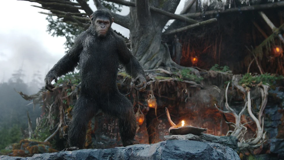 Talande schimpans. Andy Serkis som Caesar.