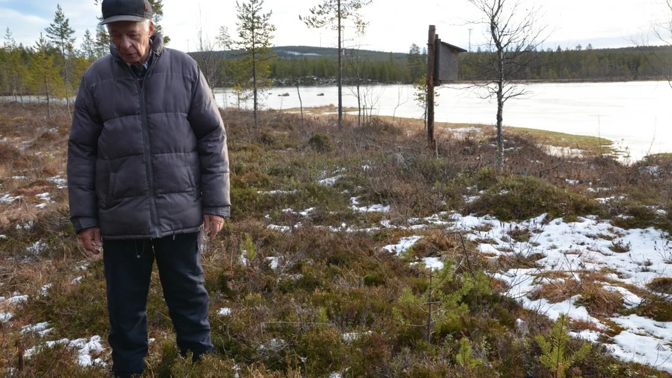 Linus Artursson vid den skadade tjärnen i Lainejaur. Foto: Britta Stenberg