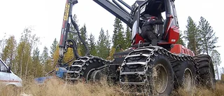 Kris för skogsindustrin