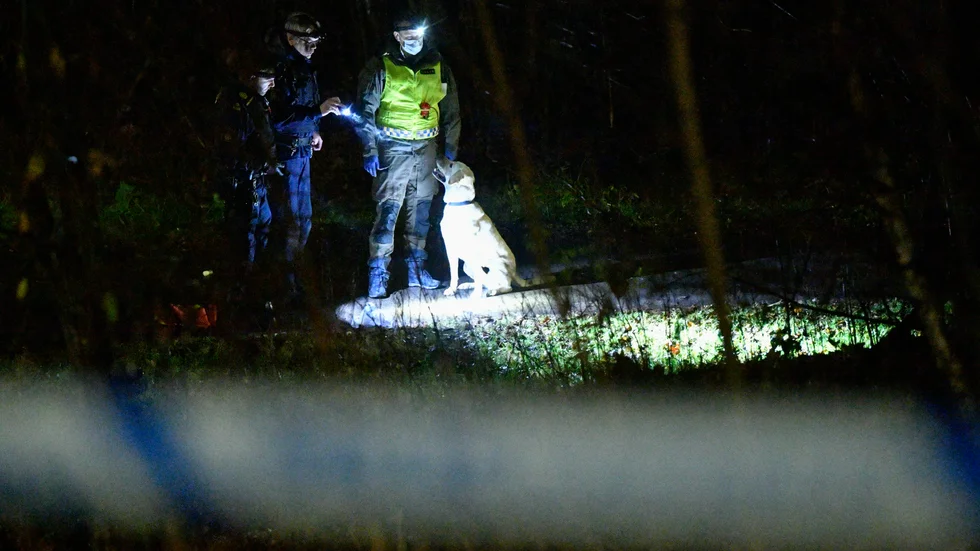 Arkivbild. Polisen sökte med hundpatrull efter gärningsmannen.

