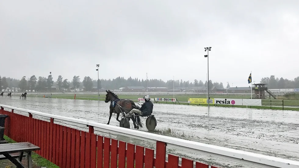 Kuskarna var måttligt roade över att behöva tävla på den bana som Skelleftetravet erbjöd denna regniga fredag,