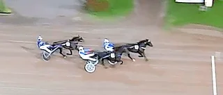 Nytt topplopp av Bjurmans treåring