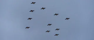 Snart dags för tredje försöket – på torsdag kommer den flygande julgranen till Nyköping
