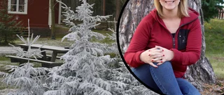 Att bo på landet är hett • Val av livsstil smäller högt: ”Tror inte vi förstår vad som håller på att hända” 