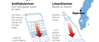 Ingen kom till skada i lavin