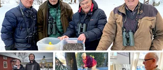Vilka skadedjur härjar på Lillsidan och vilka fick covid när ESK:s match ställdes in? Testa dig här!