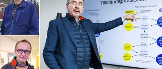 Nej till gruva i Kallak blev spiken i kistan för länsrådet – tror sameprofilerna: "Johan Antti får bära hundhuvudet"