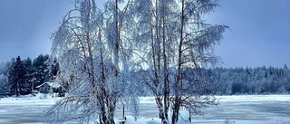 Läsarbilden: Hamnholmen i vinterskrud