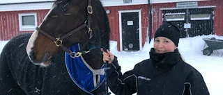 V64: Megafavoriten förlorade i sista stegen – Skelleftestallet tog snabb revansch 