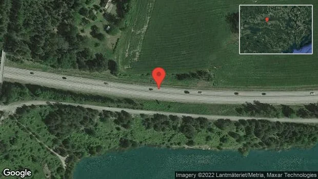 Fallna träd skapar problem i trafiken på E20