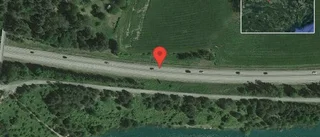 Fallna träd skapar problem i trafiken på E20