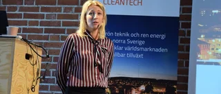 Cleantechföretagen i Västerbotten växer