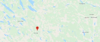 Träd över vägen 
