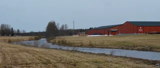 Vill satsa på närodlat vid Noretområdet
